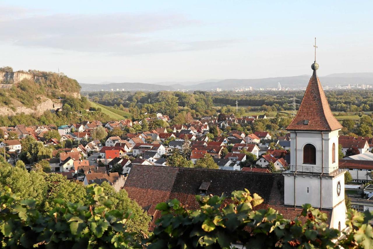 Mariposa Apartamento Efringen-Kirchen Exteriér fotografie