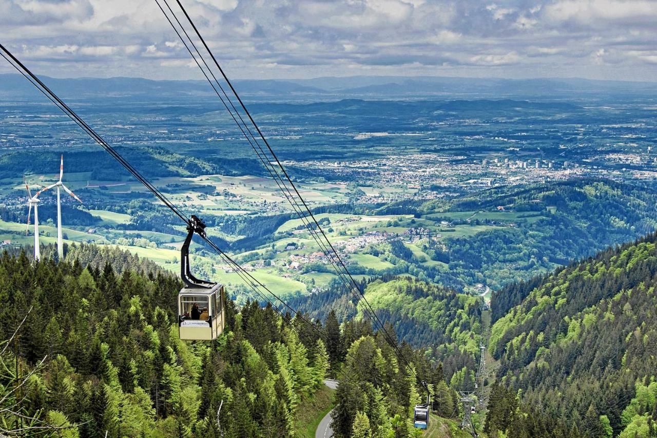 Mariposa Apartamento Efringen-Kirchen Exteriér fotografie